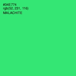 #34E774 - Malachite Color Image