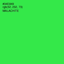 #34E849 - Malachite Color Image