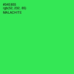 #34E855 - Malachite Color Image