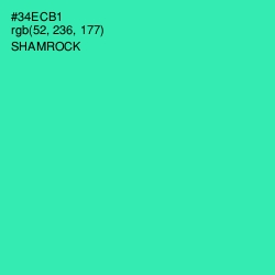 #34ECB1 - Shamrock Color Image