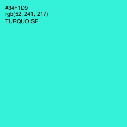#34F1D9 - Turquoise Color Image