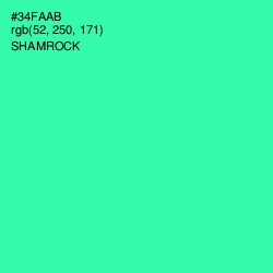 #34FAAB - Shamrock Color Image