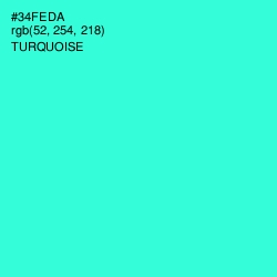 #34FEDA - Turquoise Color Image