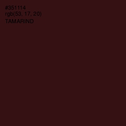 #351114 - Tamarind Color Image