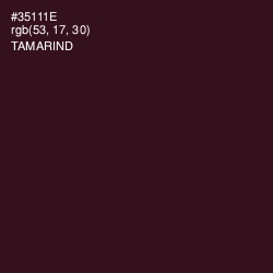 #35111E - Tamarind Color Image
