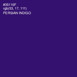 #35116F - Persian Indigo Color Image