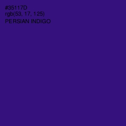 #35117D - Persian Indigo Color Image