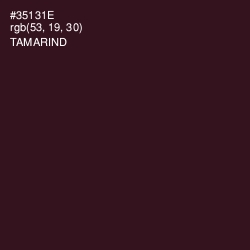 #35131E - Tamarind Color Image