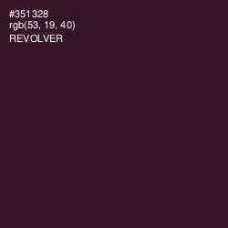 #351328 - Revolver Color Image