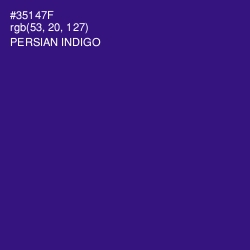 #35147F - Persian Indigo Color Image