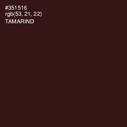 #351516 - Tamarind Color Image
