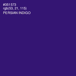 #351573 - Persian Indigo Color Image