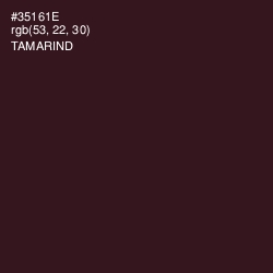 #35161E - Tamarind Color Image