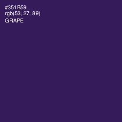 #351B59 - Grape Color Image