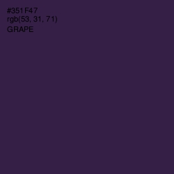 #351F47 - Grape Color Image