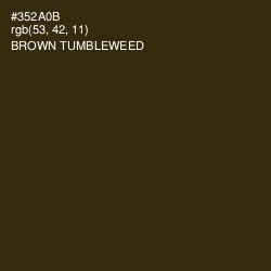 #352A0B - Brown Tumbleweed Color Image