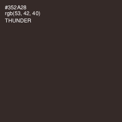 #352A28 - Thunder Color Image