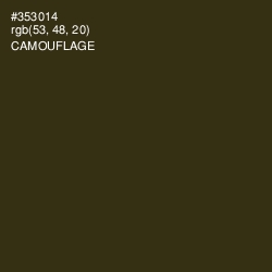 #353014 - Camouflage Color Image