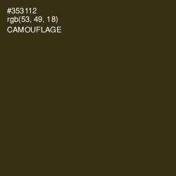 #353112 - Camouflage Color Image