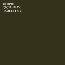 #35321B - Camouflage Color Image