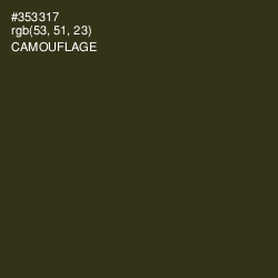 #353317 - Camouflage Color Image