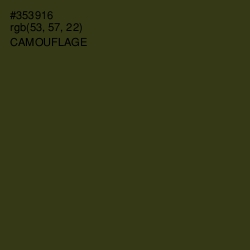 #353916 - Camouflage Color Image