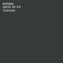 #353B36 - Tuatara Color Image