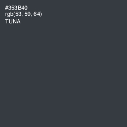 #353B40 - Tuna Color Image