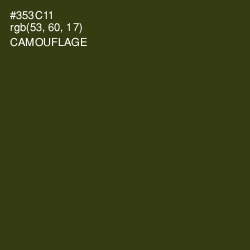 #353C11 - Camouflage Color Image