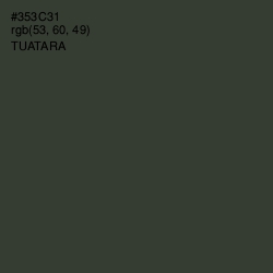 #353C31 - Tuatara Color Image