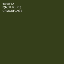 #353F1A - Camouflage Color Image