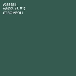 #355B51 - Stromboli Color Image