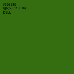 #356E10 - Dell Color Image