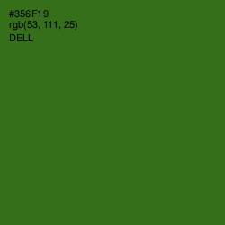 #356F19 - Dell Color Image