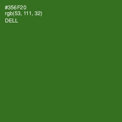 #356F20 - Dell Color Image