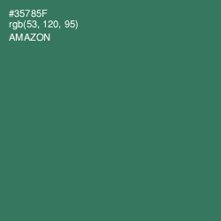 #35785F - Amazon Color Image