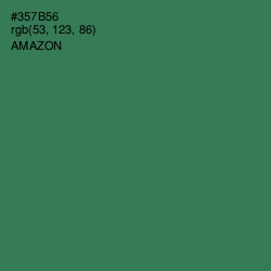 #357B56 - Amazon Color Image