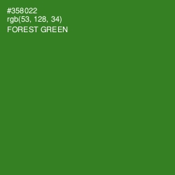 #358022 - Forest Green Color Image