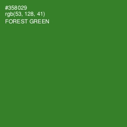 #358029 - Forest Green Color Image