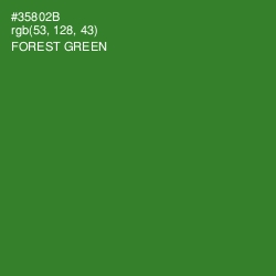 #35802B - Forest Green Color Image