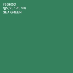 #35805D - Sea Green Color Image