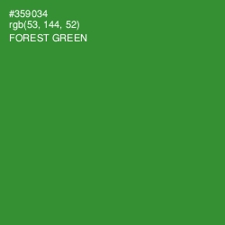 #359034 - Forest Green Color Image