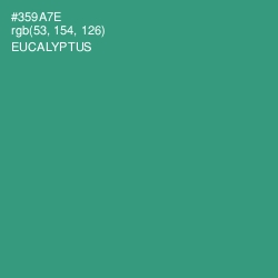 #359A7E - Eucalyptus Color Image