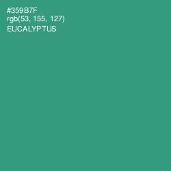 #359B7F - Eucalyptus Color Image