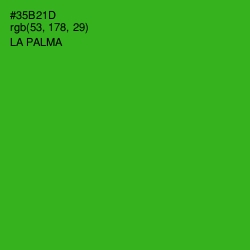 #35B21D - La Palma Color Image