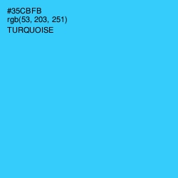 #35CBFB - Turquoise Color Image
