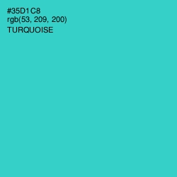 #35D1C8 - Turquoise Color Image