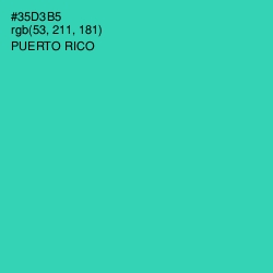 #35D3B5 - Puerto Rico Color Image