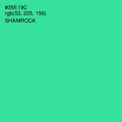 #35E19C - Shamrock Color Image