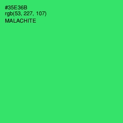 #35E36B - Malachite Color Image